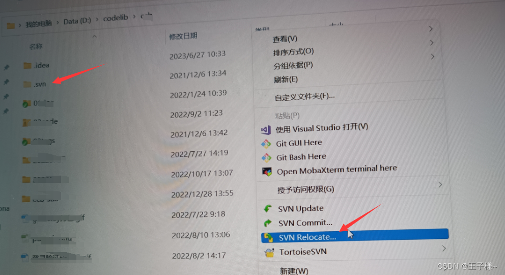 svn客戶端查看urltortoisesvn官網(wǎng)下載-第2張圖片-太平洋在線下載