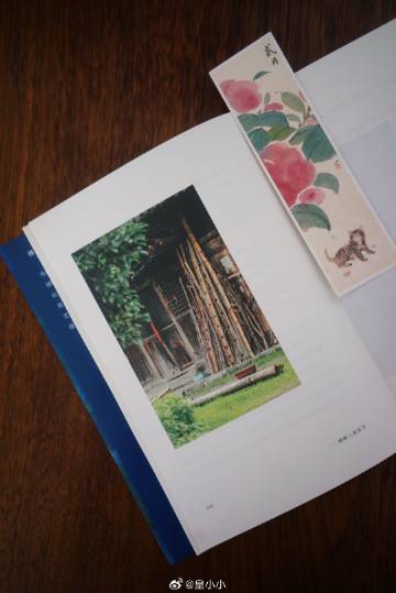 tumblr客戶端閃退youtube一直閃退怎么辦