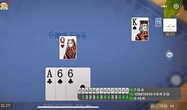 微流記牌器安卓版斗地主記牌器安卓版下載