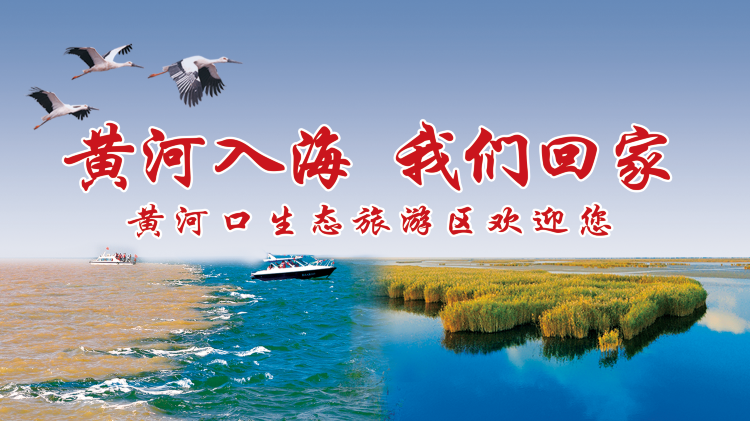 無(wú)線墾利app蘋果版大地視頻下載免費(fèi)蘋果手機(jī)安裝-第2張圖片-太平洋在線下載