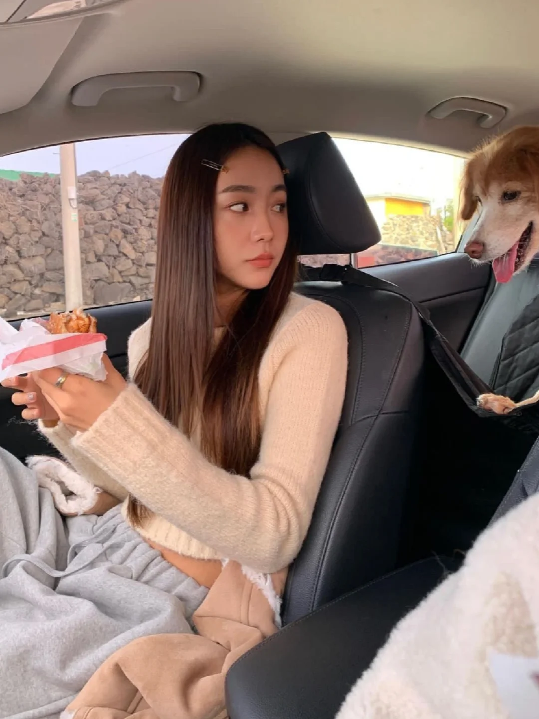 ins博主安卓版instagram安卓版