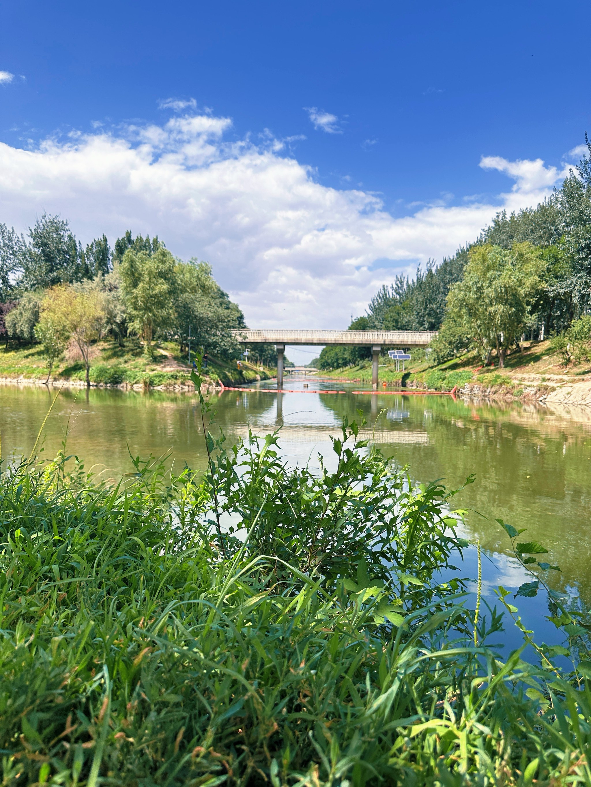 綠壩手機(jī)版綠小服蘋果手機(jī)下載-第2張圖片-太平洋在線下載
