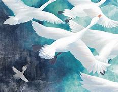 米狐手機(jī)版米俠瀏覽器手機(jī)版下載