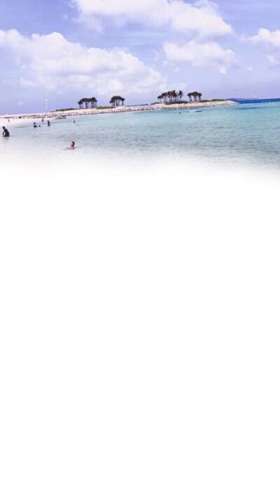 qq手機版4.6電腦手機版下載