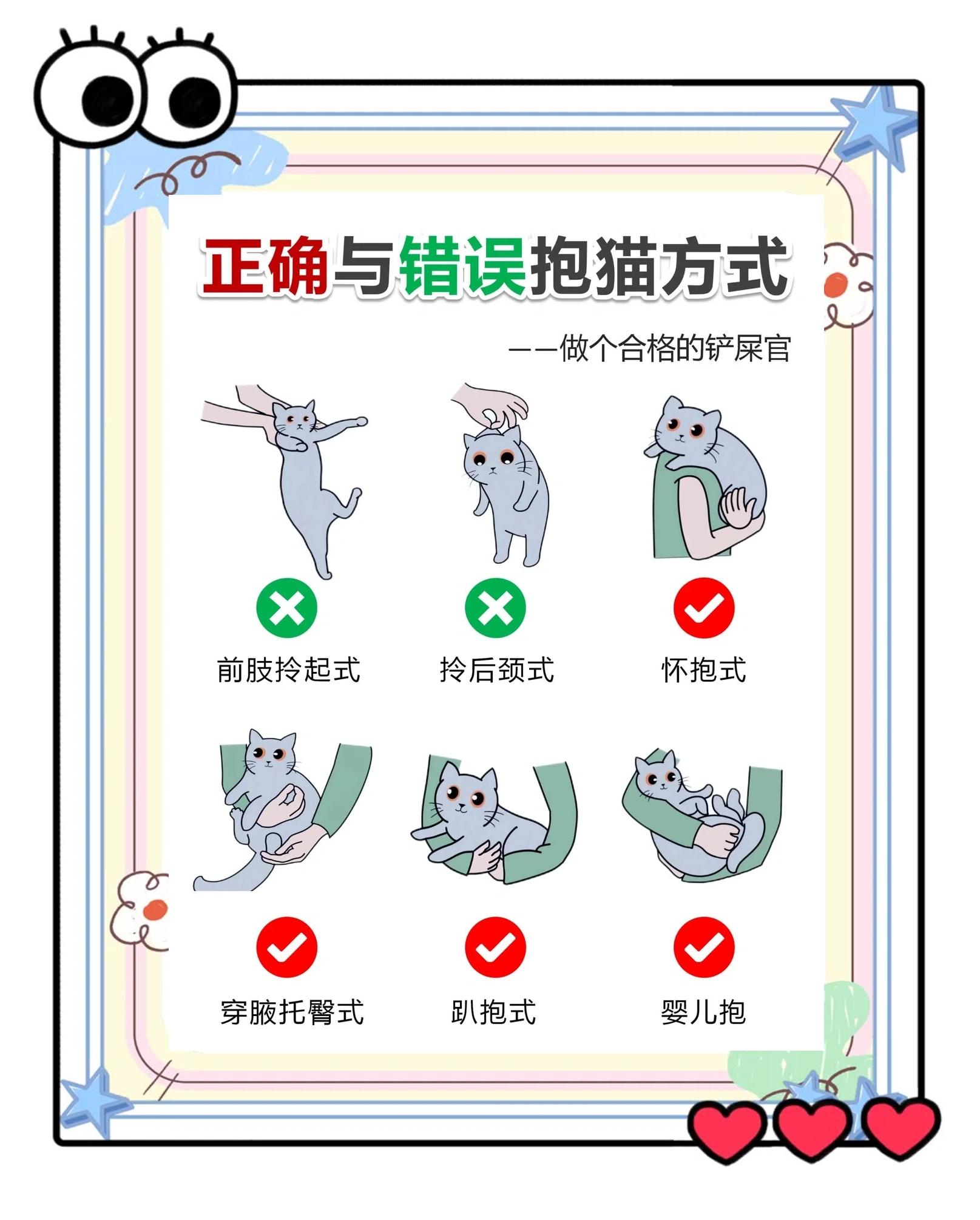 關(guān)于艸貓手機版運行教程的信息-第2張圖片-太平洋在線下載